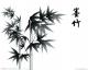 墨轩竹 的头像