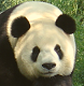 qwmwmb 的头像