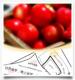 codingfarmer 的头像
